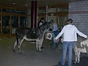 p_052.jpg