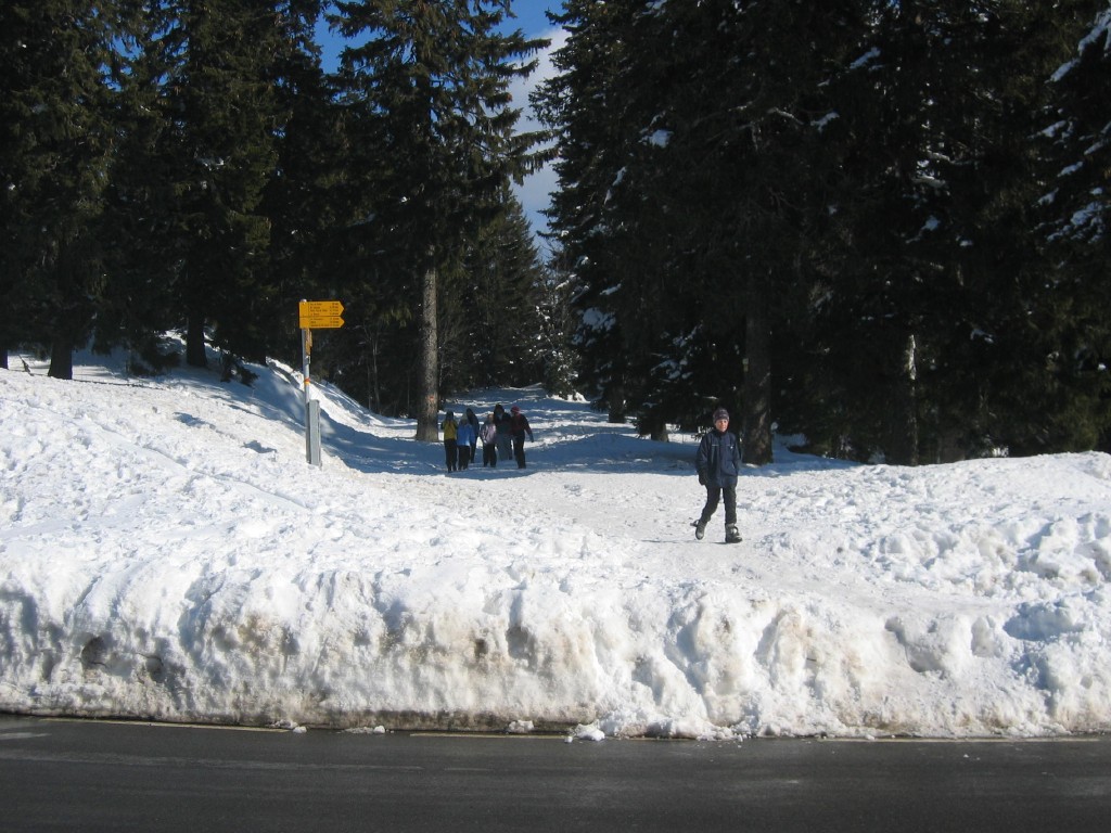 img_1196.jpg