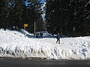 img_1196.jpg