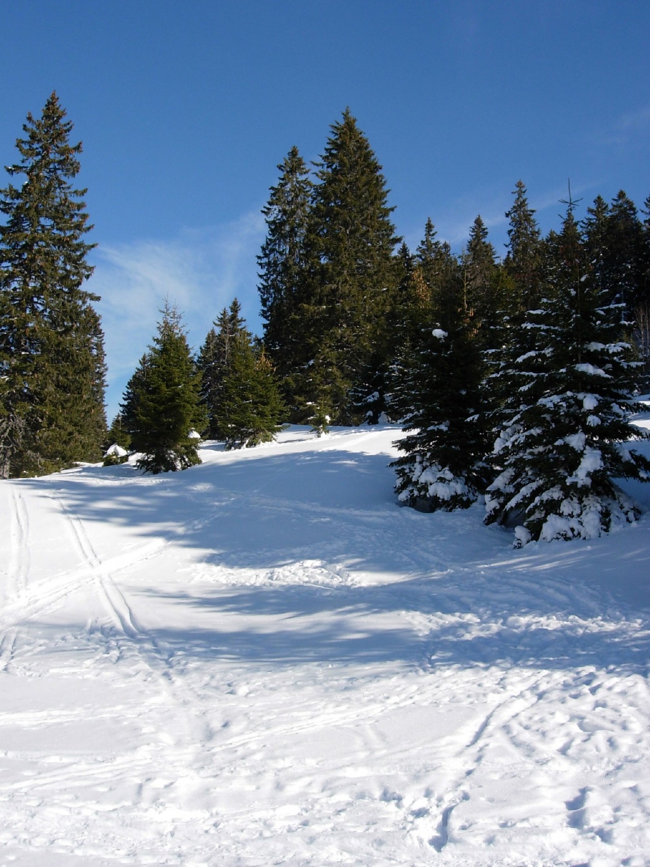 dscn0120.jpg