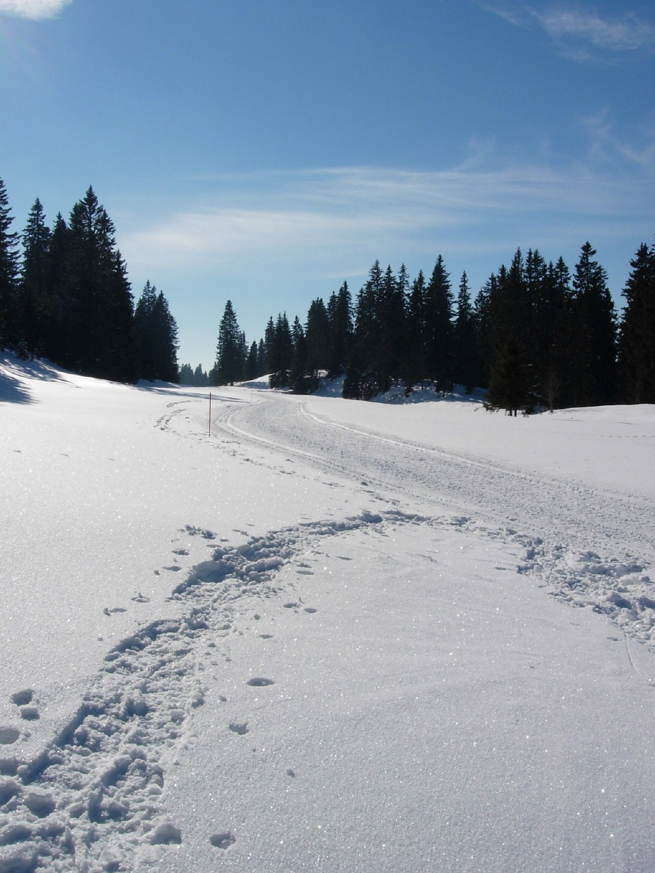 dscn0121.jpg