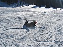 img_1201.jpg